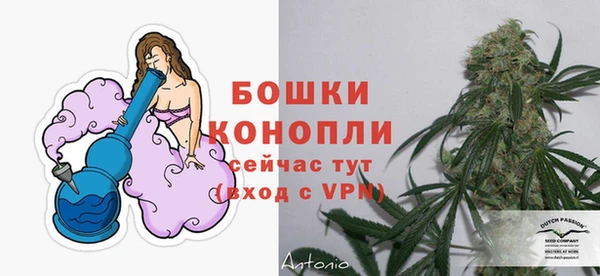 мдпв Гусев