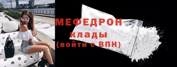 мдпв Гусев