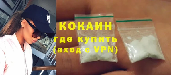 мдпв Гусев