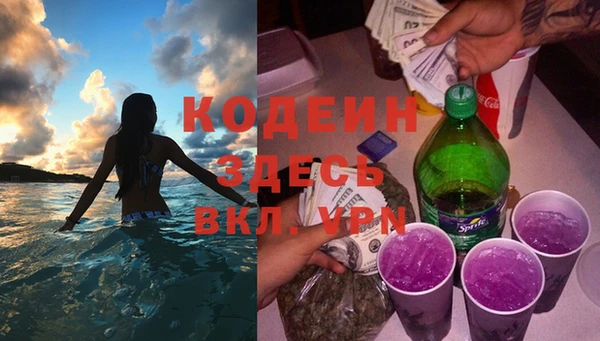мдпв Гусев