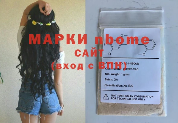 мдпв Гусев