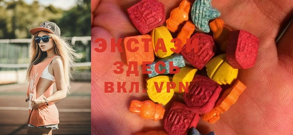 мдпв Гусев