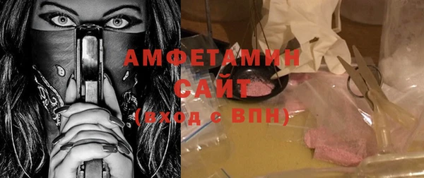 мдпв Гусев