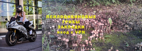 дживик Дмитровск