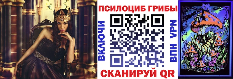 купить наркотик  kraken ссылки  Псилоцибиновые грибы мицелий  Братск 